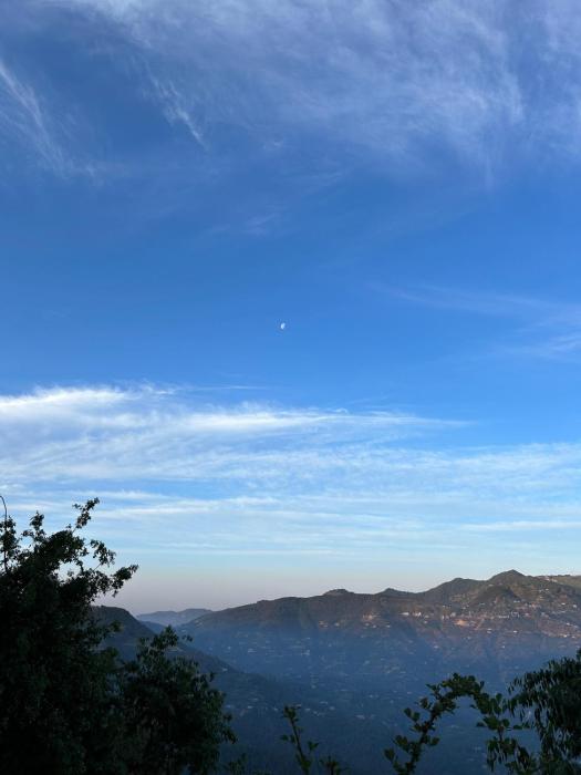 orchard oasis homestay