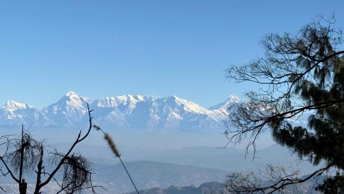 orchard oasis homestay