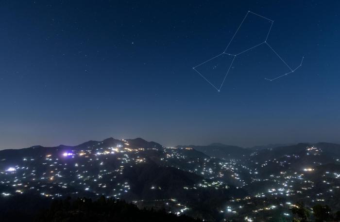 orchard oasis homestay