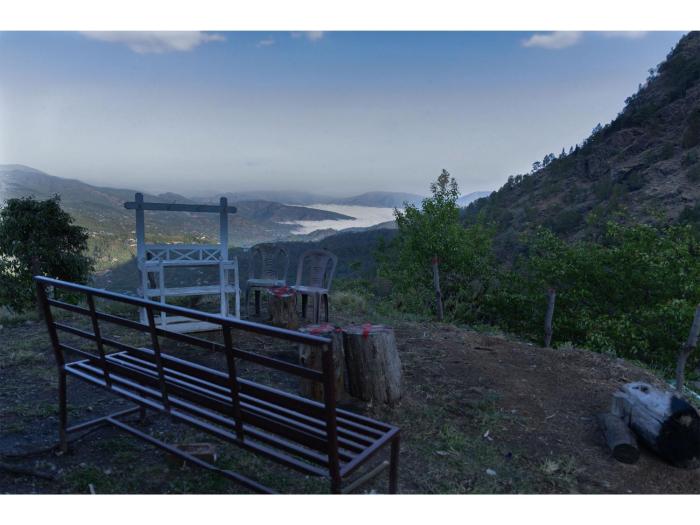 orchard oasis homestay