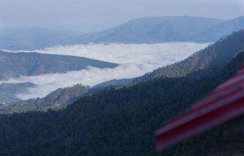 orchard oasis homestay