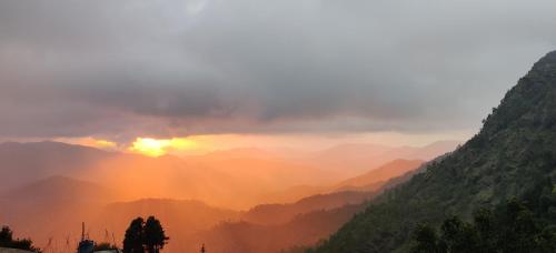 orchard oasis homestay