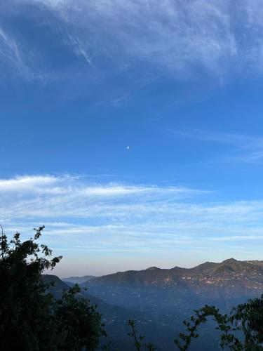 orchard oasis homestay