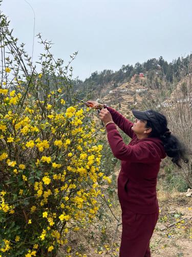 orchard oasis homestay