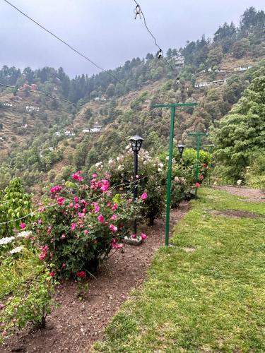 orchard oasis homestay