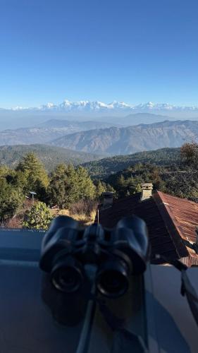 orchard oasis homestay