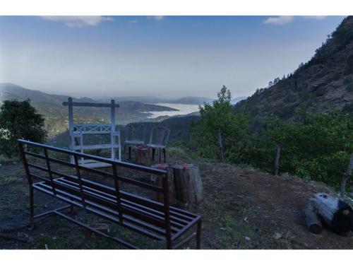 orchard oasis homestay