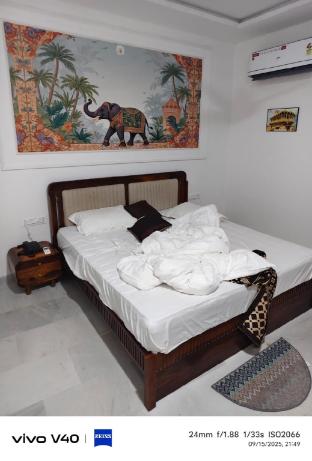 hotel desert castle jaisalmer