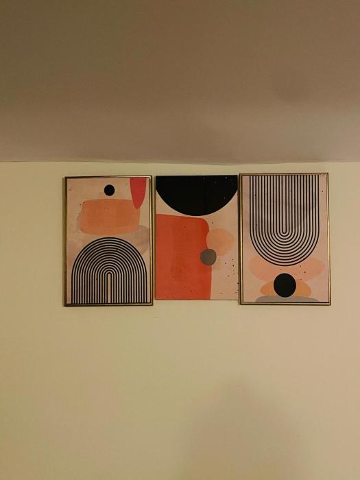 zivo stays jubilee hills