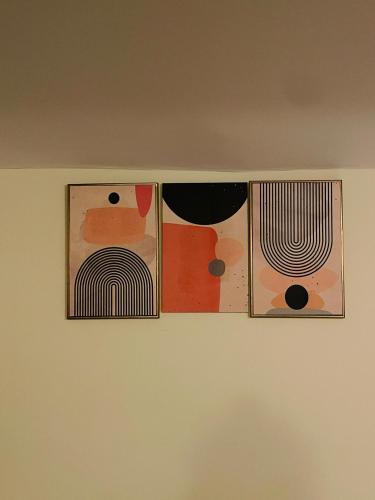 zivo stays jubilee hills