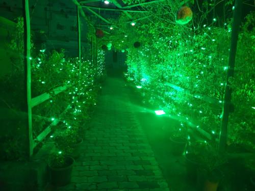 selvam residency