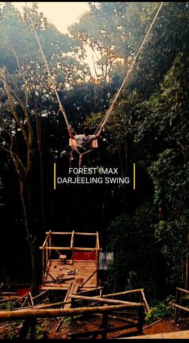 forest imax