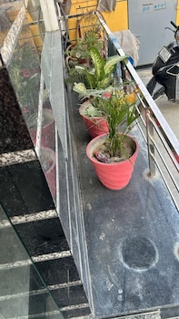 hotel sultan paradise