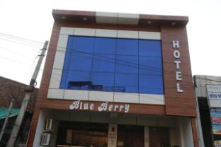 hotel blue berry agra