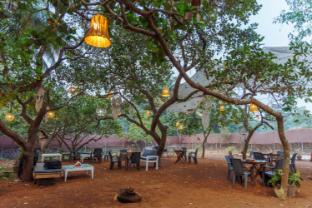 cashew garden homestay