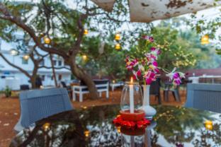 cashew garden homestay