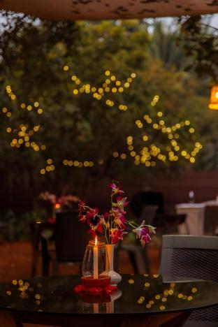 cashew garden homestay