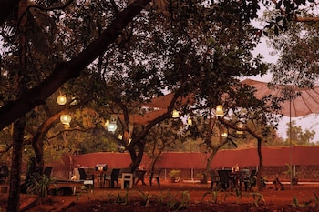 cashew garden homestay