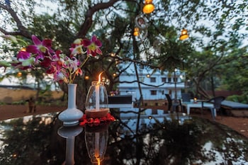 cashew garden homestay