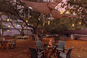 cashew garden homestay