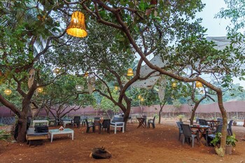 cashew garden homestay