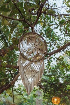 cashew garden homestay