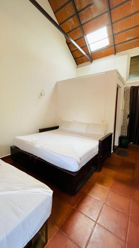 homestay dgh