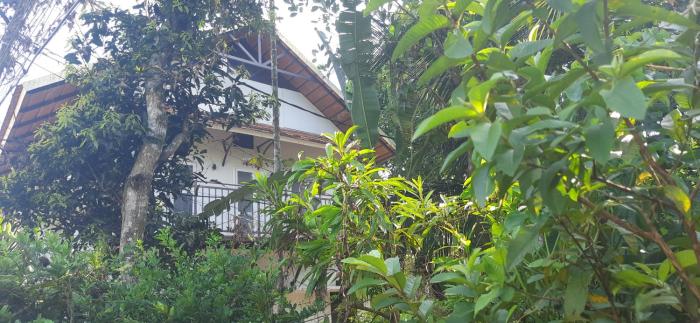 alleppey