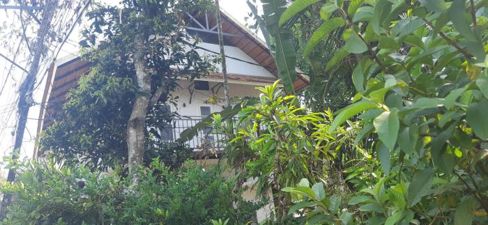 alleppey