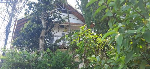 alleppey