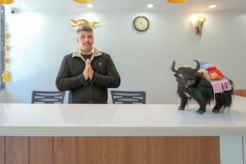 Hotel Skyline, Manali - Walking To Mall Road, Centrally Heated,,3 star