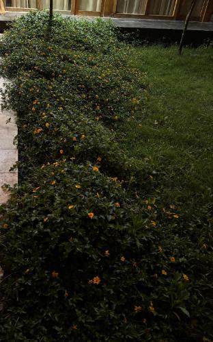 blue lagoon villa pasighat