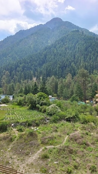 shesh besh guest house and restaurant