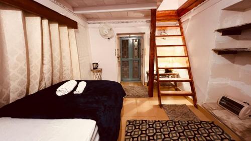 palampur
