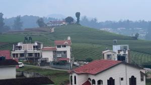 ooty
