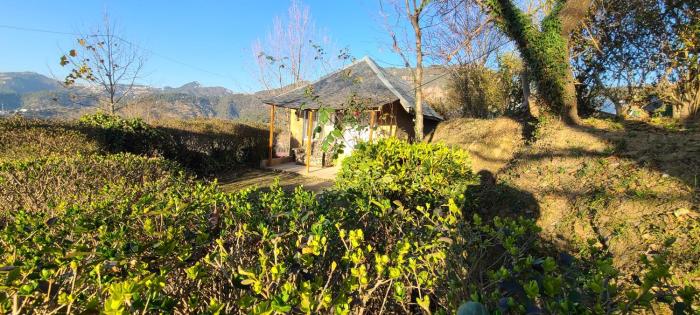 hotel vatika resorts cottages shimla