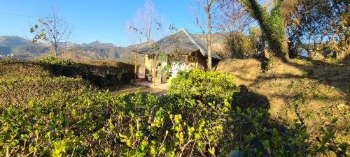 hotel vatika resorts cottages shimla