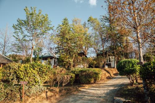 hotel vatika resorts cottages shimla