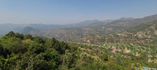 hotel vatika resorts cottages shimla