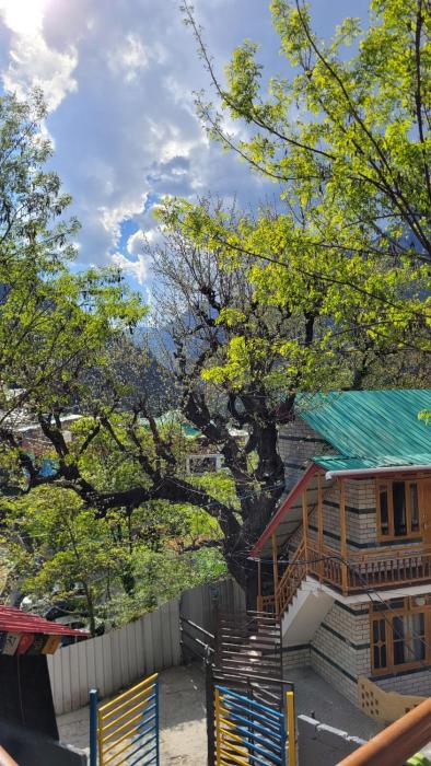 nirvana by oztel backpacker hostel