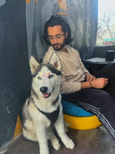 nirvana by oztel backpacker hostel