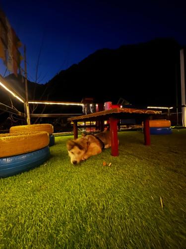 nirvana by oztel backpacker hostel