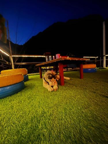 nirvana by oztel backpacker hostel