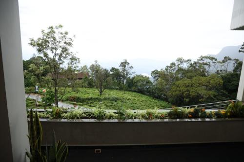 hills and hearts luxury villa