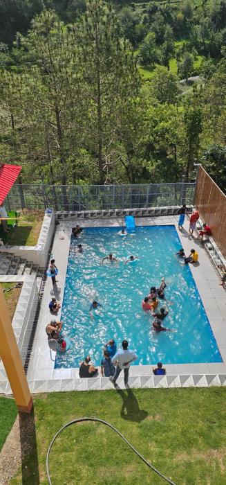 the chail pine orchard resort