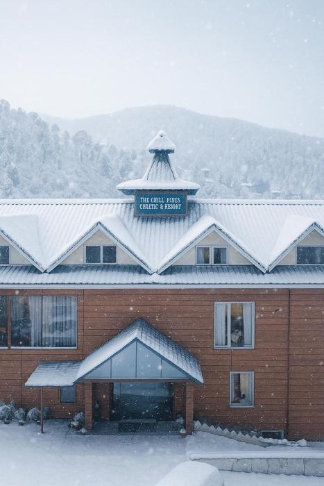 the chail pine orchard resort