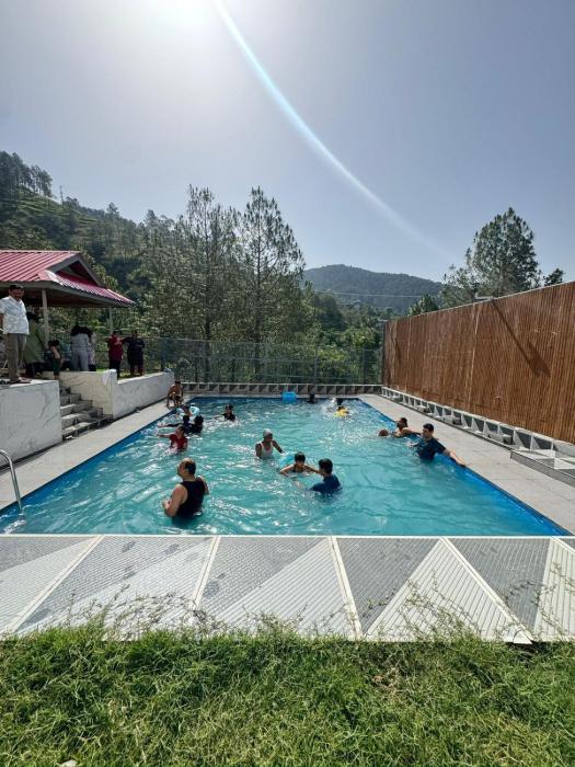 the chail pine orchard resort