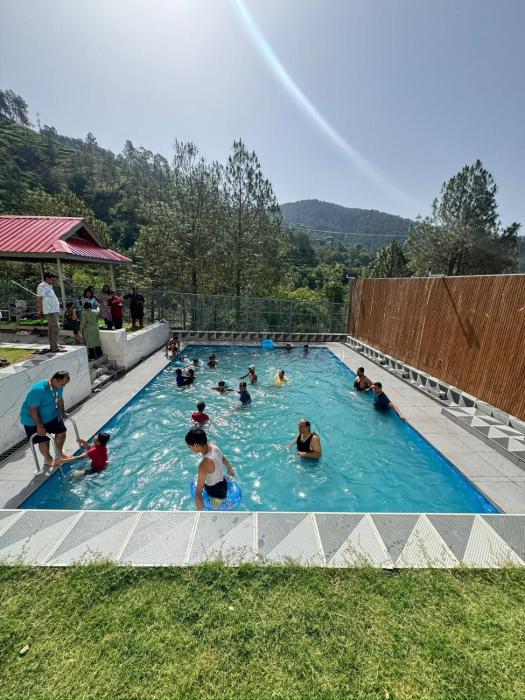 the chail pine orchard resort