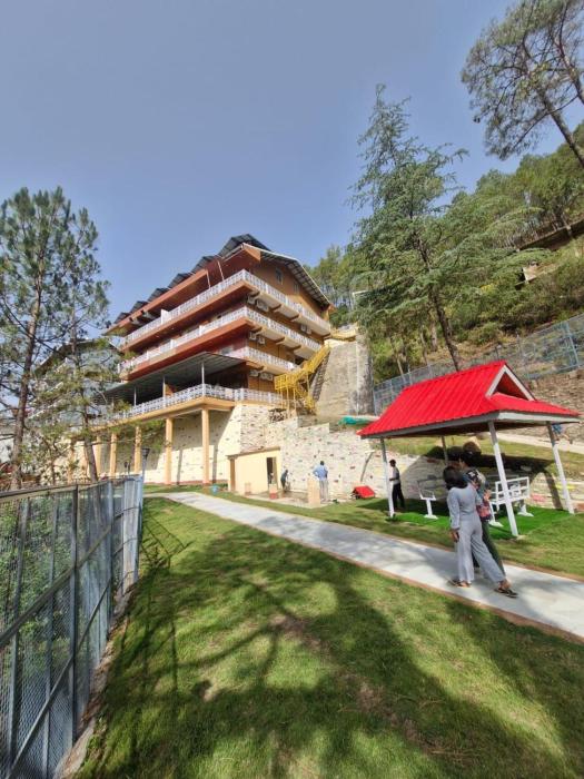 the chail pine orchard resort