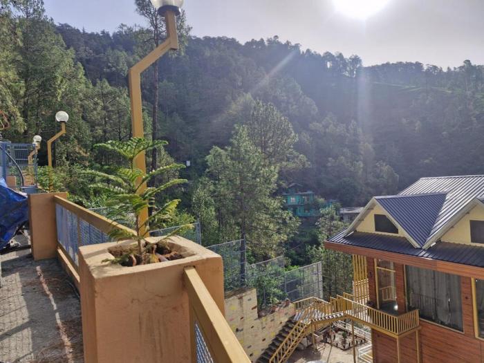 the chail pine orchard resort